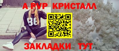 крисы Абакан