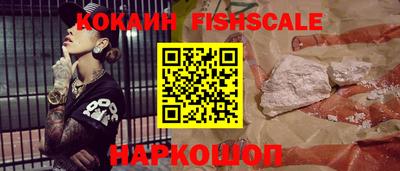 крисы Абакан