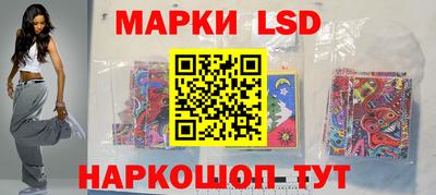 крисы Абакан