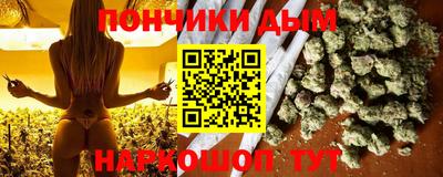 крисы Абакан