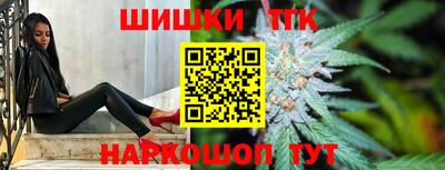 крисы Абакан