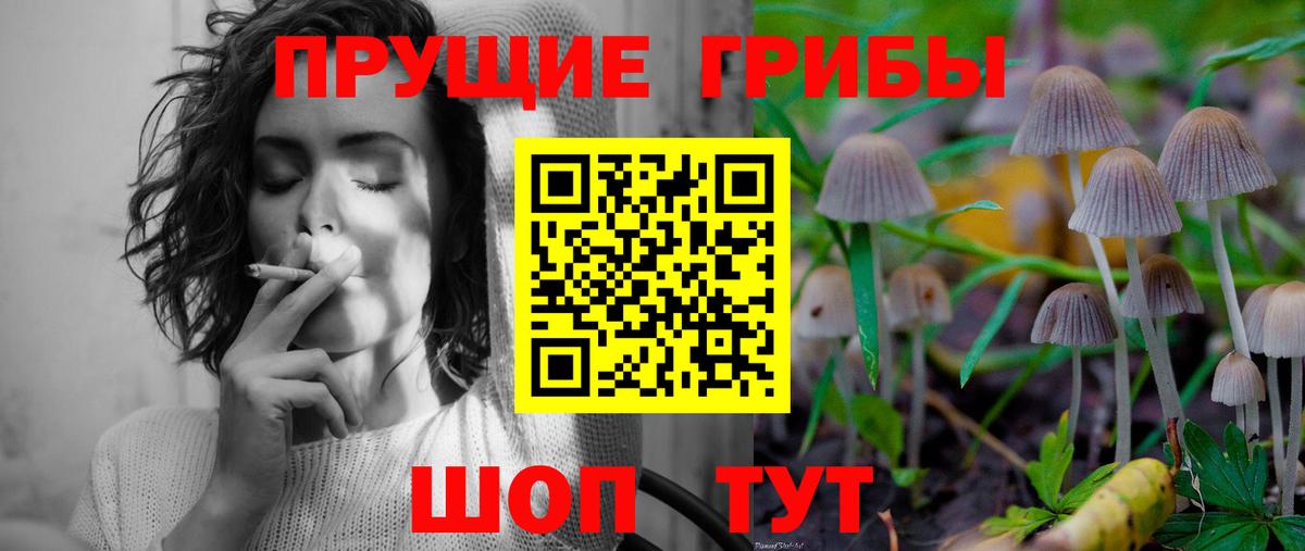Галлюциногенные грибы GOLDEN TEACHER Абинск